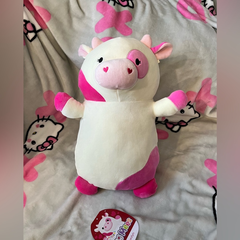14” Caedyn squishmallow hug me